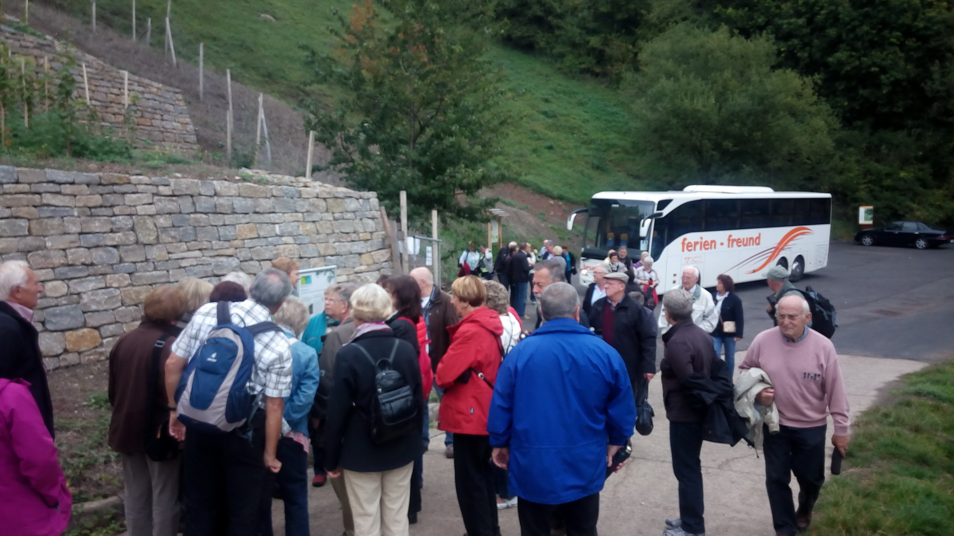 Iphofen Siedler im Weinberg